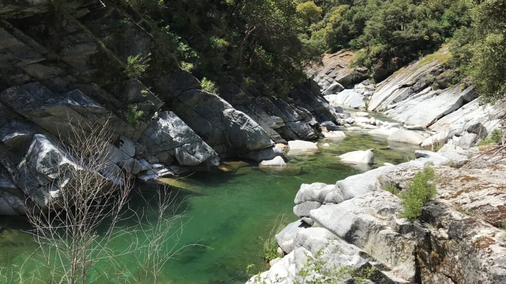 Yuba River